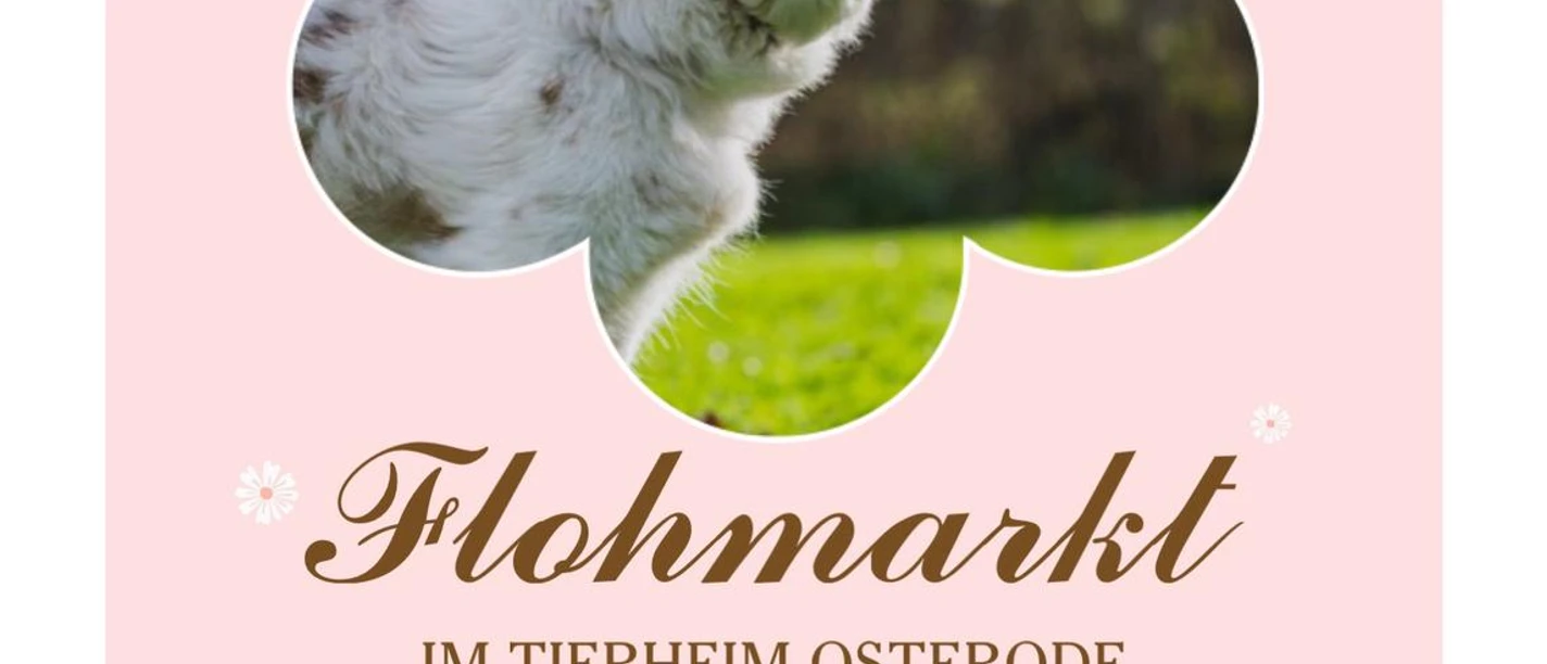 Einladung Osterflohmarkt Tierheim Osterode