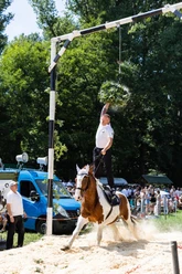 Hahler Kranzreiten
