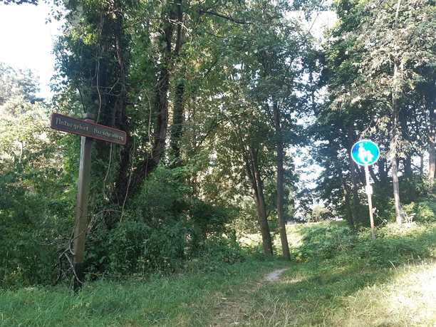 Das Naturgebiet Kirschenberg auf den VitalWegen 5 und 22