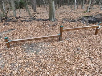Balanciertreppe.jpg