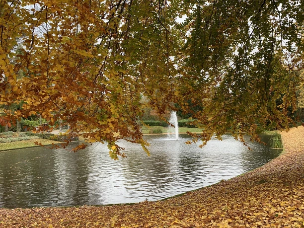 Bäckerwall_Bänke Wallanlage