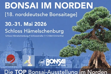 Plakat Bonsaiausstellung Schloss Hämelschenburg Plakat Bonsaiausstellung Schloss Hämelschenburg