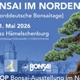 Plakat Bonsaiausstellung Schloss Hämelschenburg Plakat Bonsaiausstellung Schloss Hämelschenburg