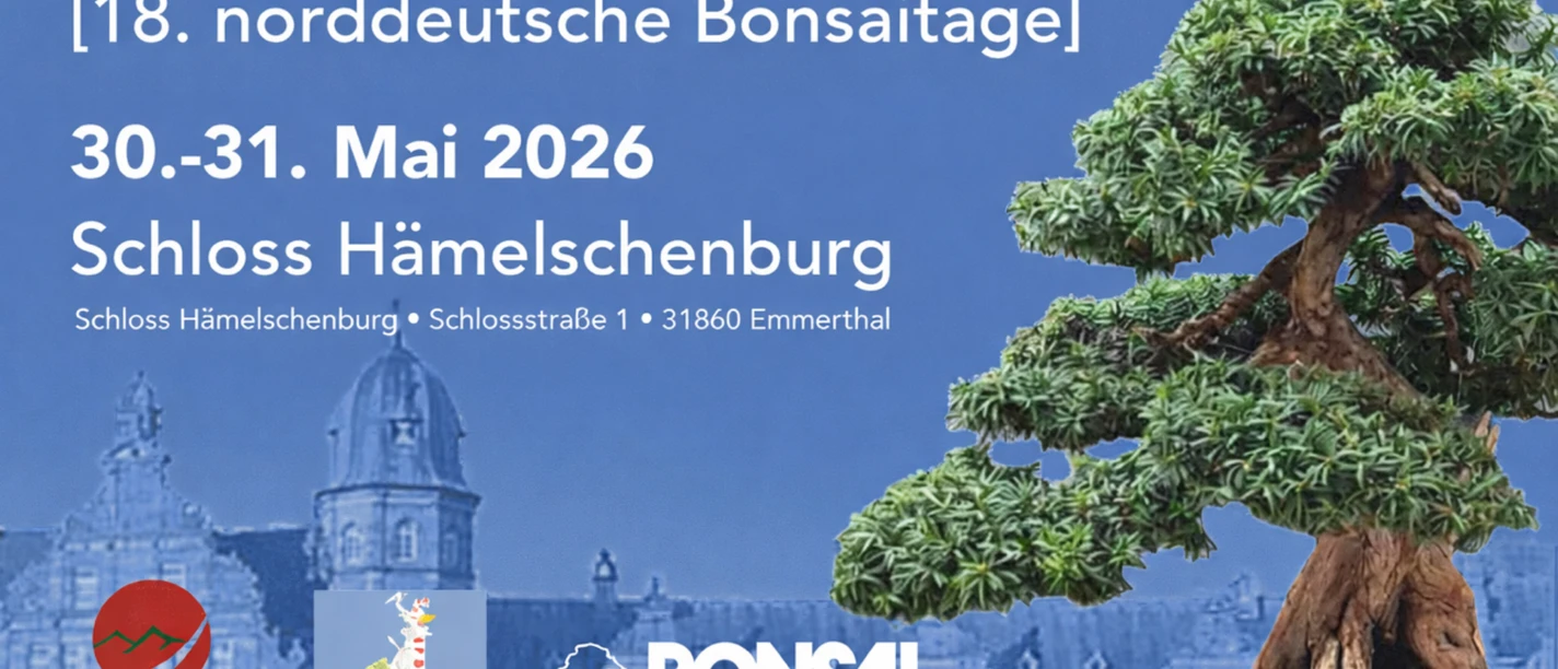 Plakat Bonsaiausstellung Schloss Hämelschenburg Plakat Bonsaiausstellung Schloss Hämelschenburg