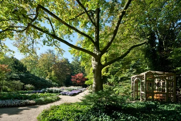 Stadtpark / Botanischer Garten großer Baum unter dem Blumenbeete sind