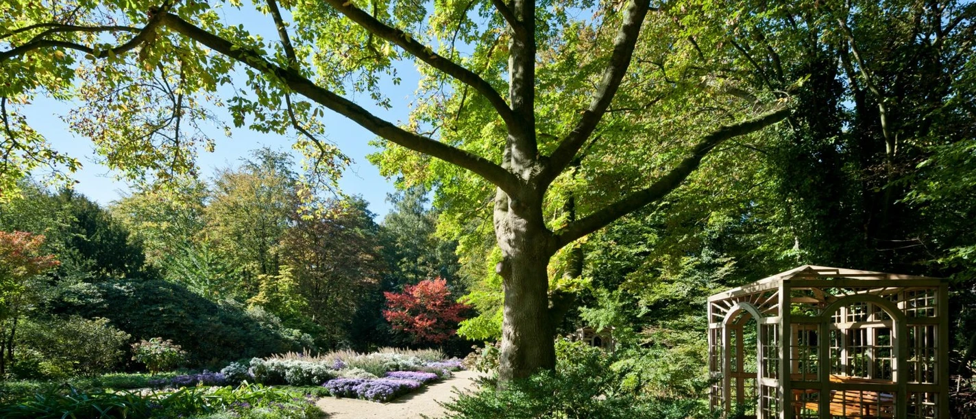 Stadtpark / Botanischer Garten großer Baum unter dem Blumenbeete sind