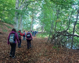 Pilgergruppe_Wald_Tourist-Info RZ.jpg