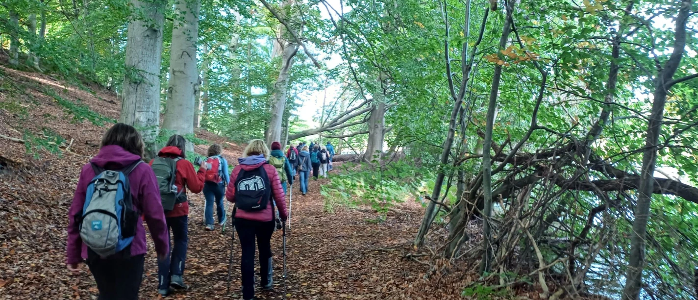 Pilgergruppe_Wald_Tourist-Info RZ.jpg