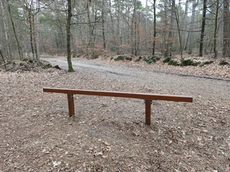 Balancierbalken 2.jpg