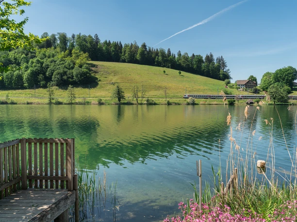 Le Rotsee en été