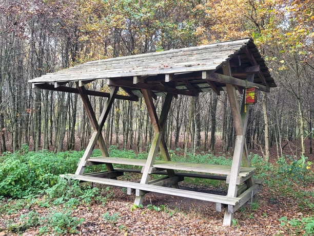 Schulwald, Sögel ©Naturpark Hümmling.jpg