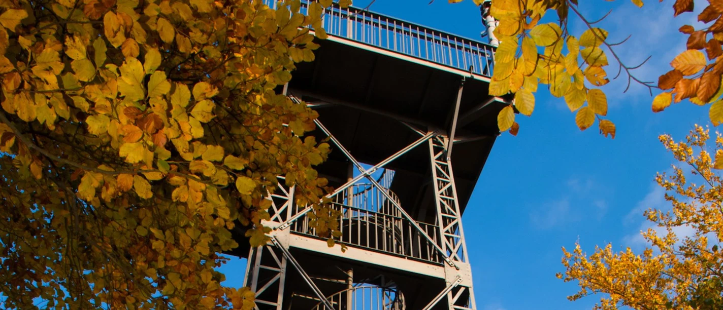 Aussichtsturm Kuckholzklippe