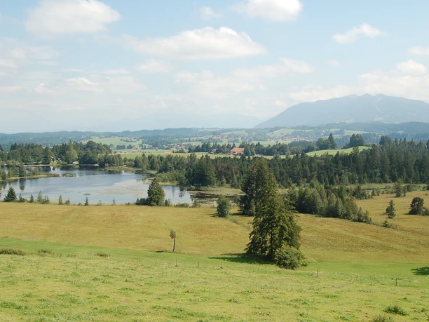 Ausblick von der Schönegg Alm auf den Schwaigsee.