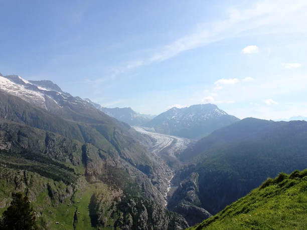 Bergtour von der Riederalp via Hängebrücke zur Oberaletschhütte und zurück auf die Belalp