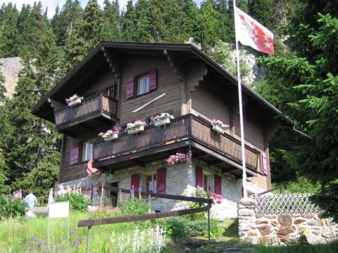 Aussenansicht Sommer