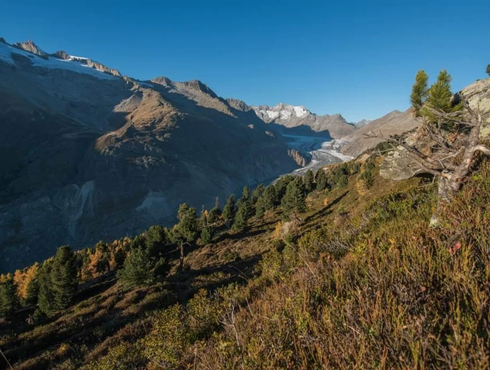 Herbst_Gletscher