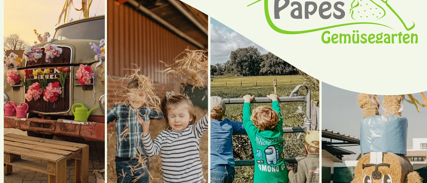 Kein Titel (608 x 342 px) (1).png