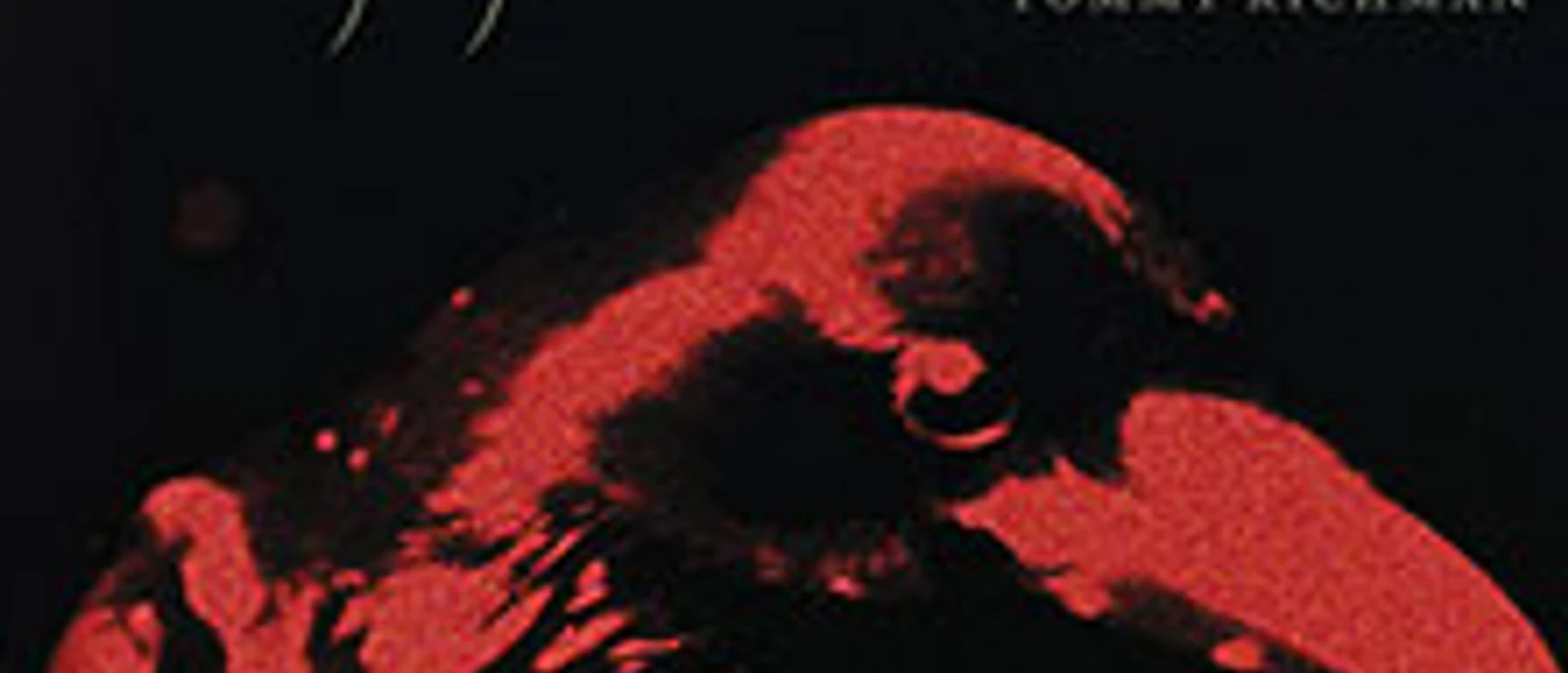 Roter Rabe vor dunklem Hintergrund mit Schrift zur Solaris Tour von Joji