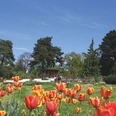 Europa-Rosarium Sangerhausen - Tulpen vor dem Pavillon Europa-Rosarium Sangerhausen - Tulpen vor dem Pavillon