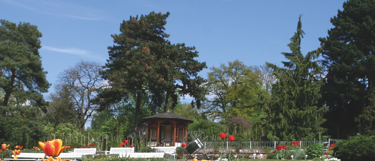 Europa-Rosarium Sangerhausen - Tulpen vor dem Pavillon Europa-Rosarium Sangerhausen - Tulpen vor dem Pavillon