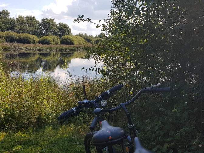 Hohes Moor 24 (c) Wagner.jpg