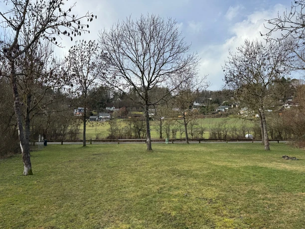 Wiese Badebuhne Bringhausen.jpeg