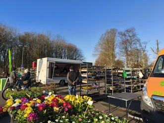 Brunsbüttel_Wochenmarkt_2026_Blumenverkauf_Stände.jpg