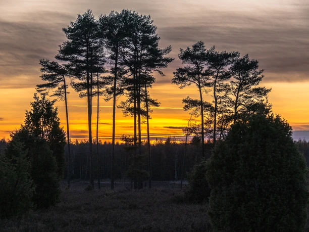 Tiefental_Sonnenuntergang_Winter_CCBYSA_CV_251201-4.jpg