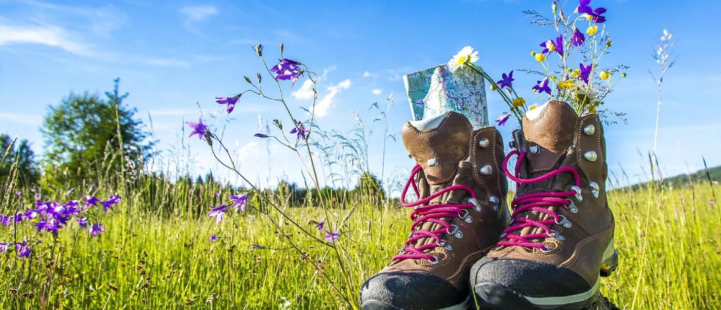 Wanderschuhe
