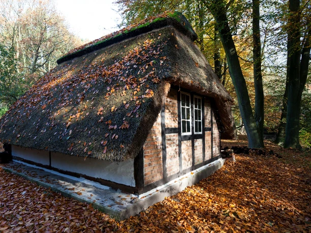 Geesthofanlage K6176 (c) Helmut Gross_Erlebnis Bremerhaven_WEB.jpg Kleines Reetdachhaus mit Fachwerk im herbstlichen Wald des Freilichtmuseums.