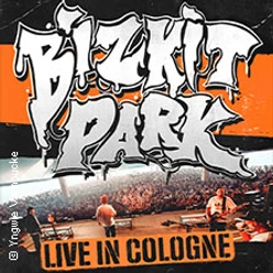Bühnenauftritt einer Rockband vor großem Publikum mit markantem Schriftzug Bizkit Park