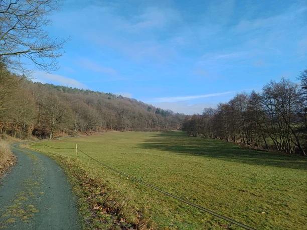 Eisenbach-Weg_Waldblick