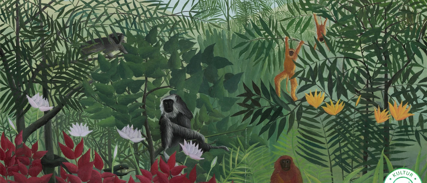 VST Dschungel-Bilder(1).png