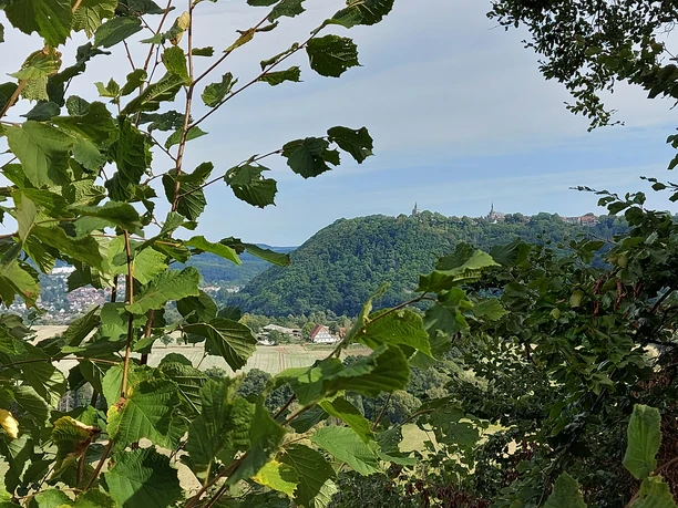 Ausblick Obermarsberg