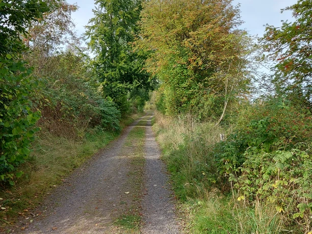 Weg bei Obermarsberg