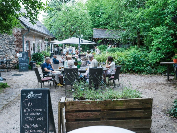 Außengastronomie im Café Op dem Kamp, Erkrath Außenbereich des Cafés Op dem Kamp in Erkrath mit Gästen unter Bäumen und Sonnenschirmen.