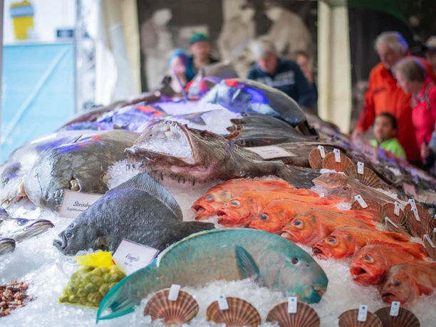 © Arnd Hartmann 5_WEB.jpg