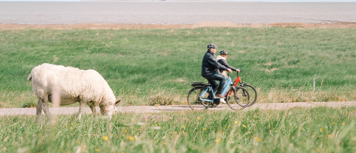 Radfahr Kampagne-07.jpg