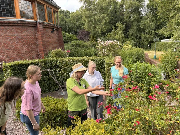 Bibelgarten Twist.JPEG