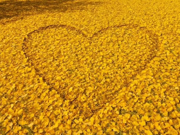 Design ohne Titel (5)