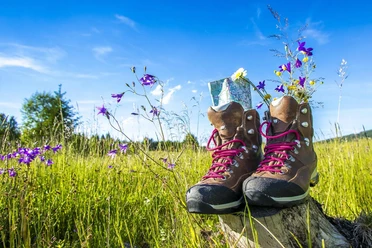 Wanderschuhe