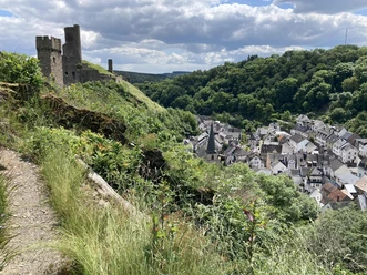 Blick auf Monreal und die Monrealer Burgen
