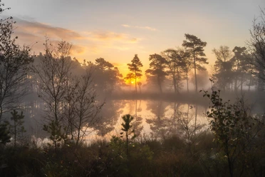 Pietzmoor mit Sonnenuntergang
