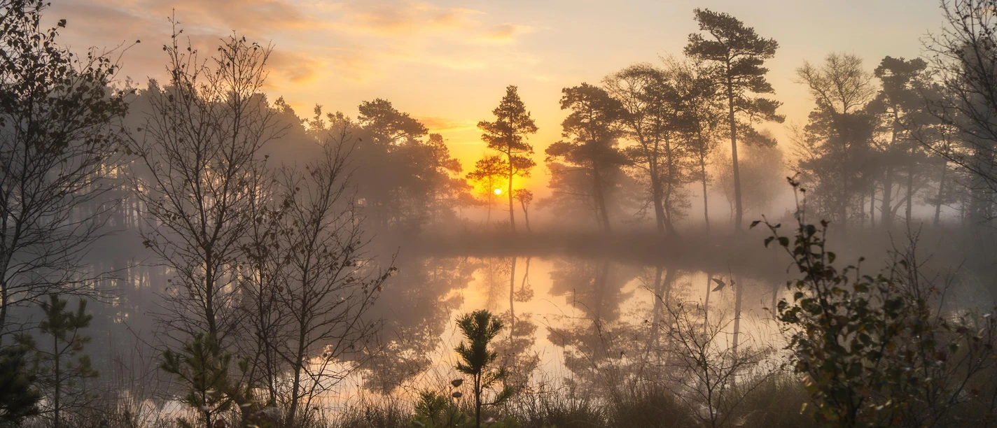 Pietzmoor mit Sonnenuntergang