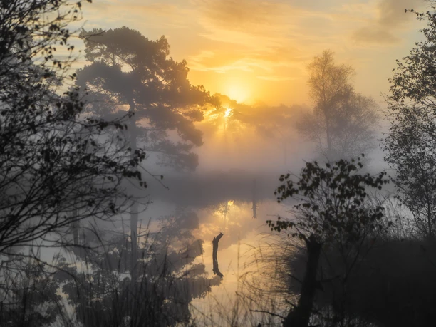 Sonnenaufgang Pietzmoor