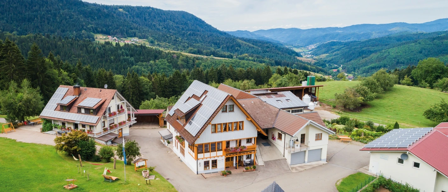 Löcherhansenhof Bad Peterstal