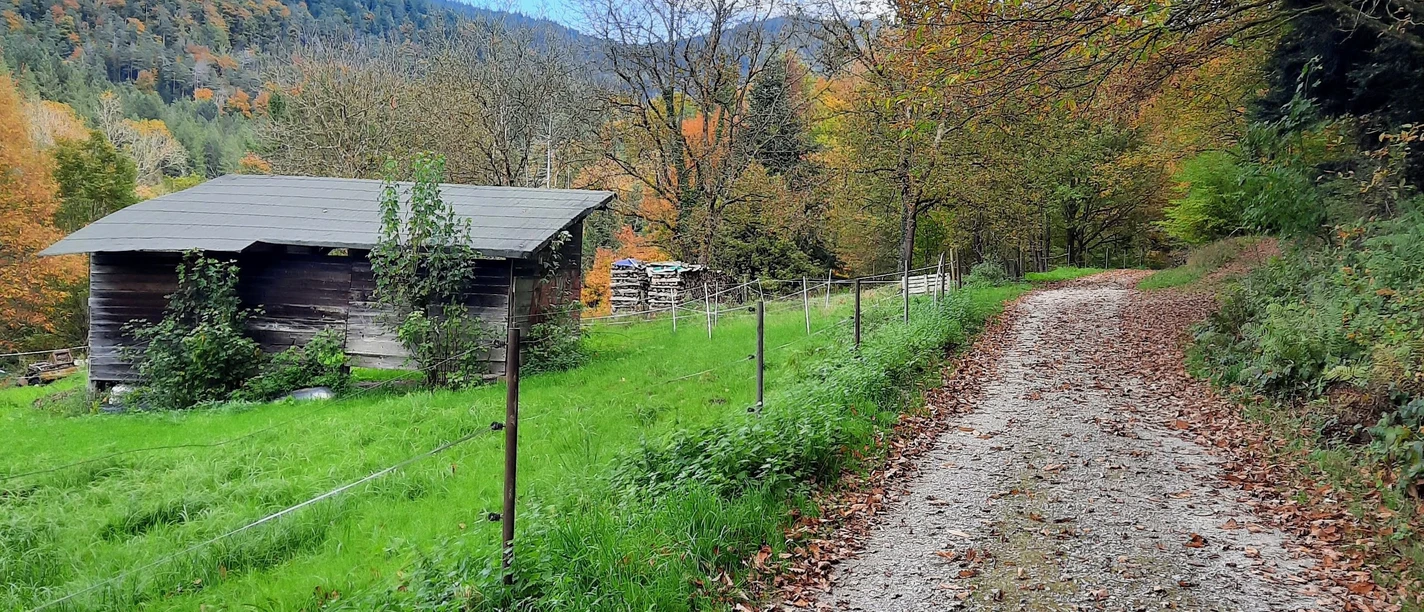 Laufbachtal