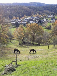 Hahnbachtal - Quelle K. Fiedler