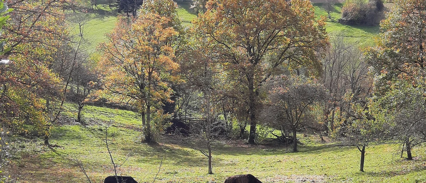 Hahnbachtal - Quelle K. Fiedler