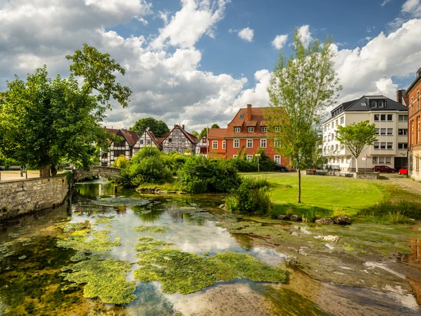 Paderborn Dielenpaderquellbecken